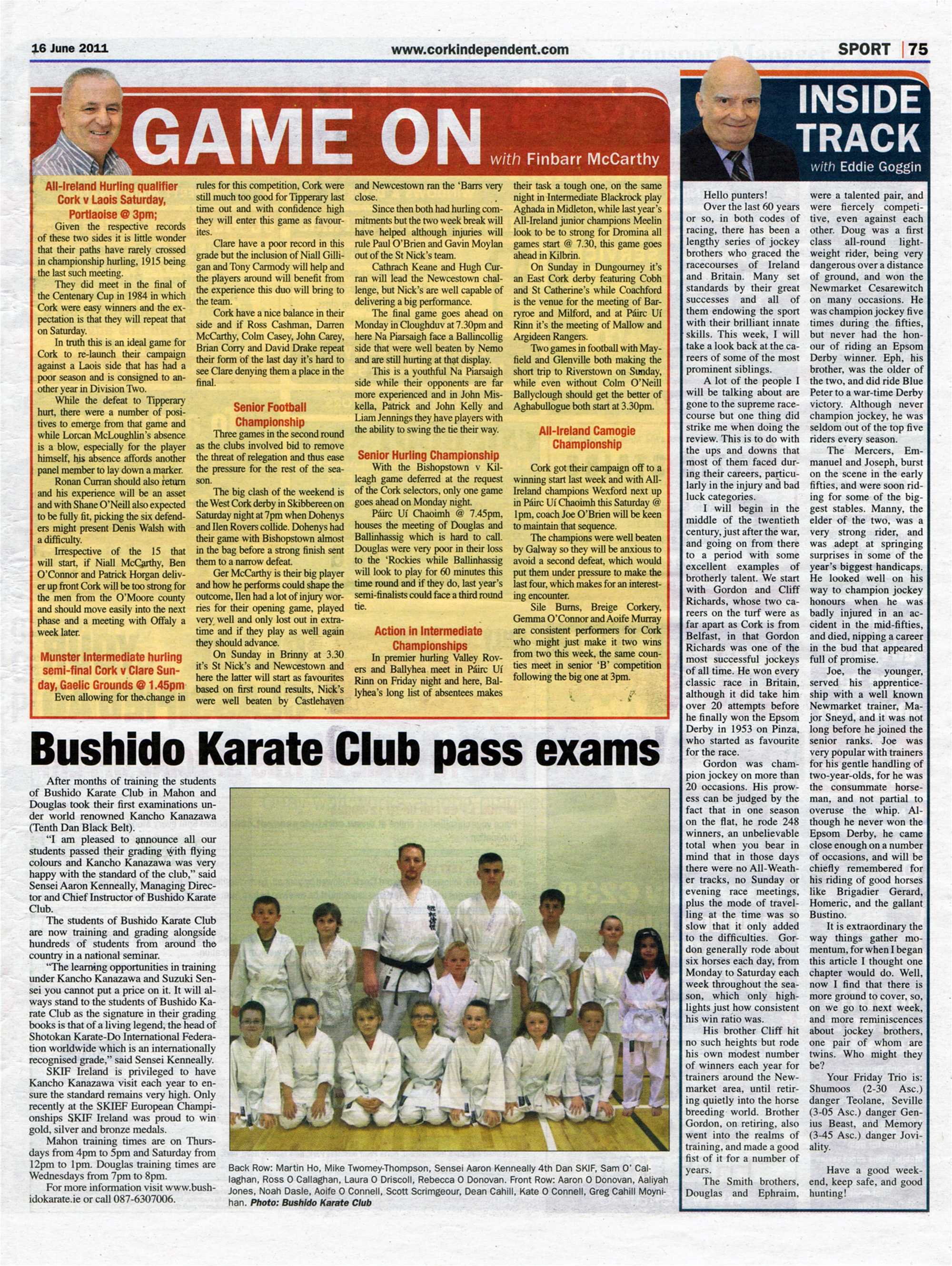 Cork Independant Feature - Bushido Karate Club pass exams