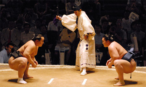 Sumo